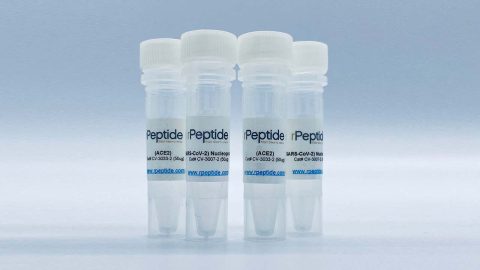 rPeptide -coronavirus research tools.